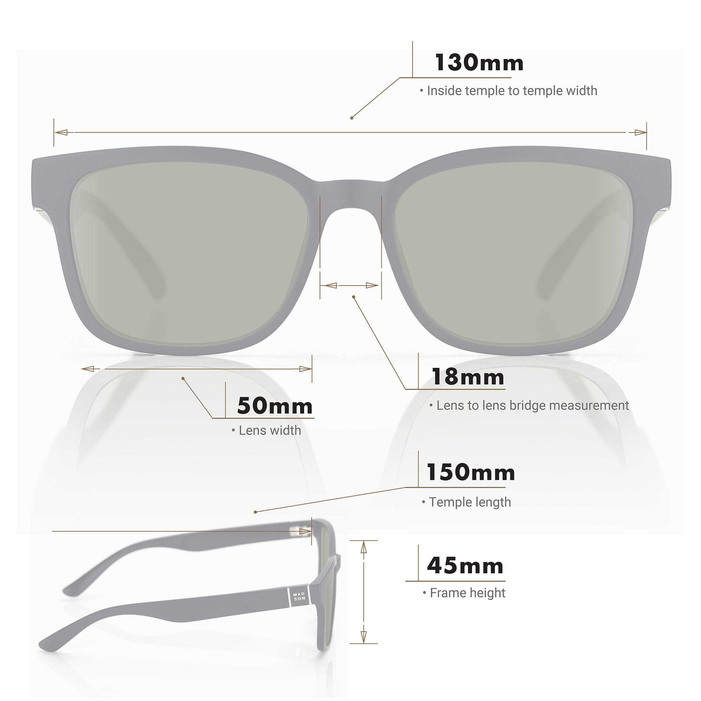 Ezra - Tortoise / G15 Polarized