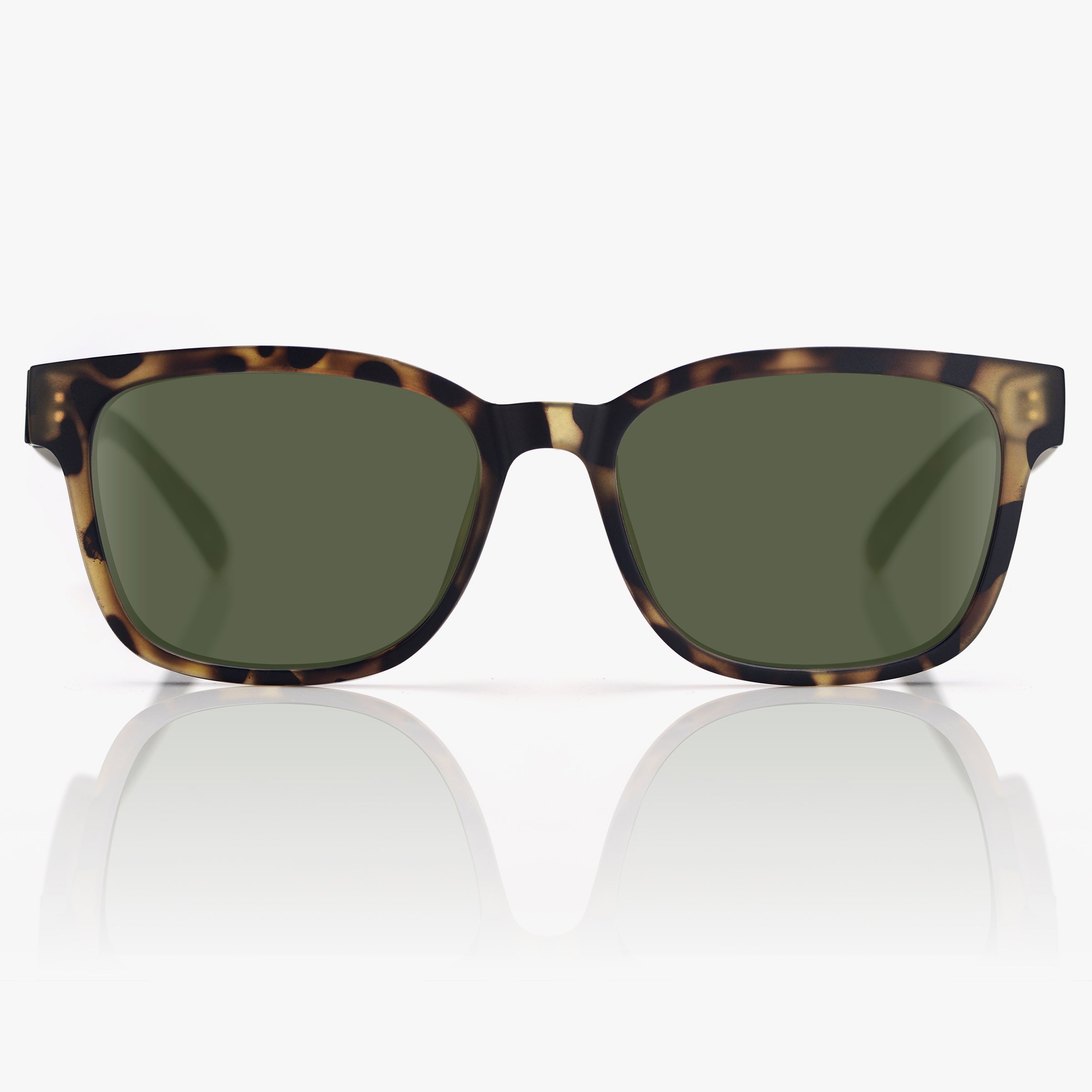 Ezra - Tortoise / G15 Polarized