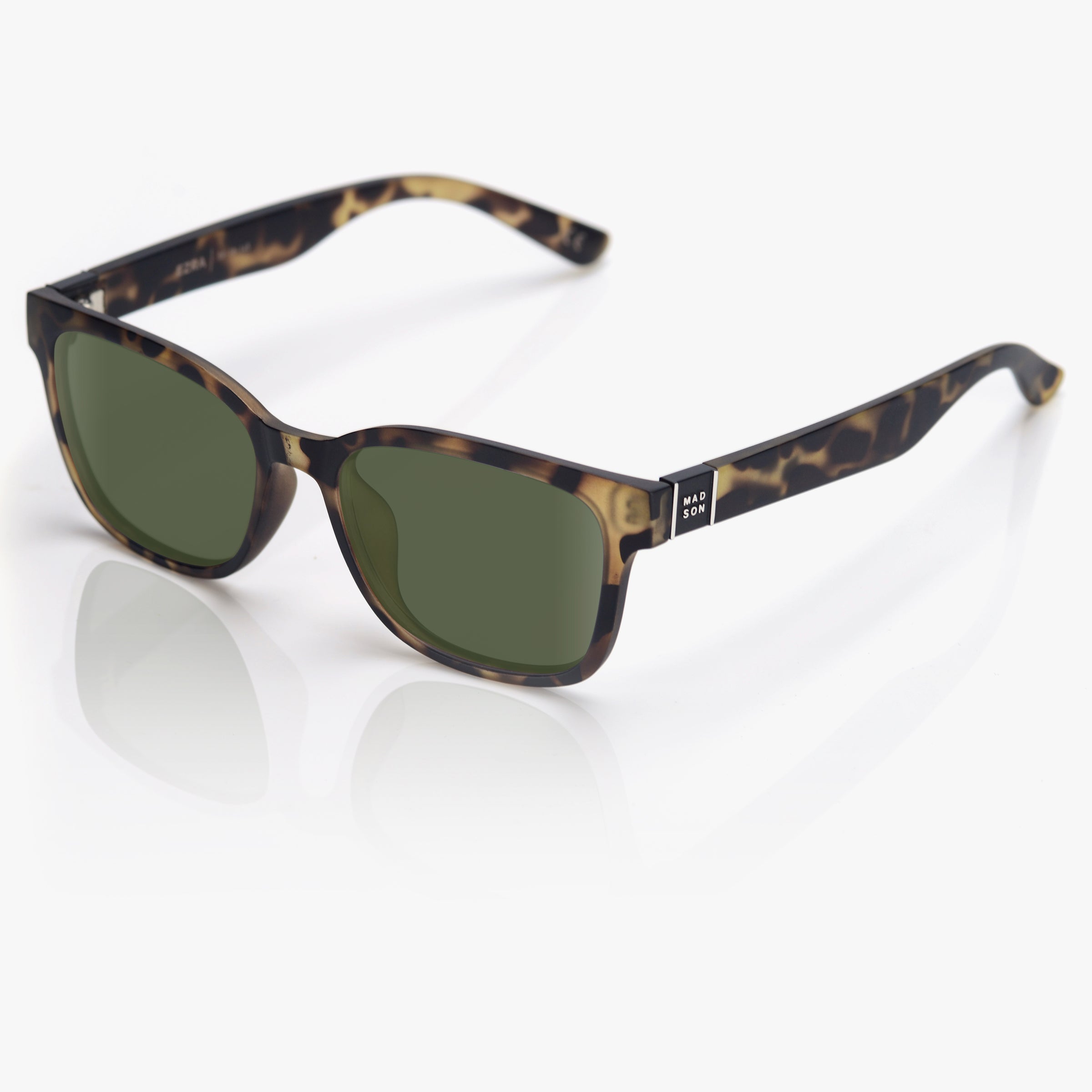 Ezra - Tortoise / G15 Polarized