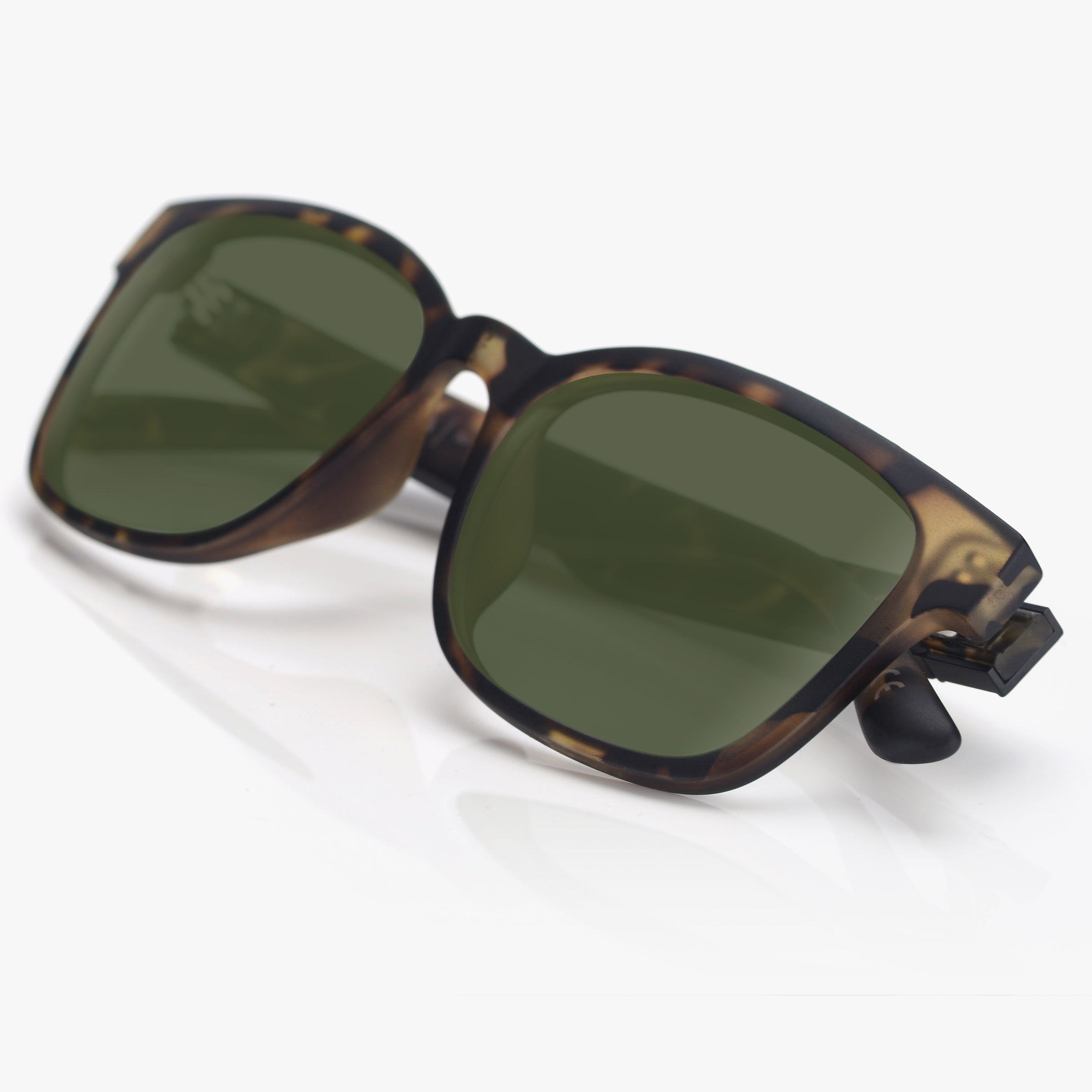 Ezra - Tortoise / G15 Polarized