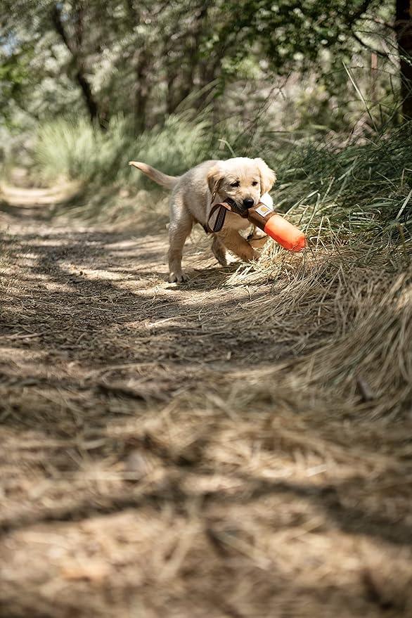 Carhartt Training Fetch and Chew Dog Toy - Orange S - Purpose-Built / Home of the Trades