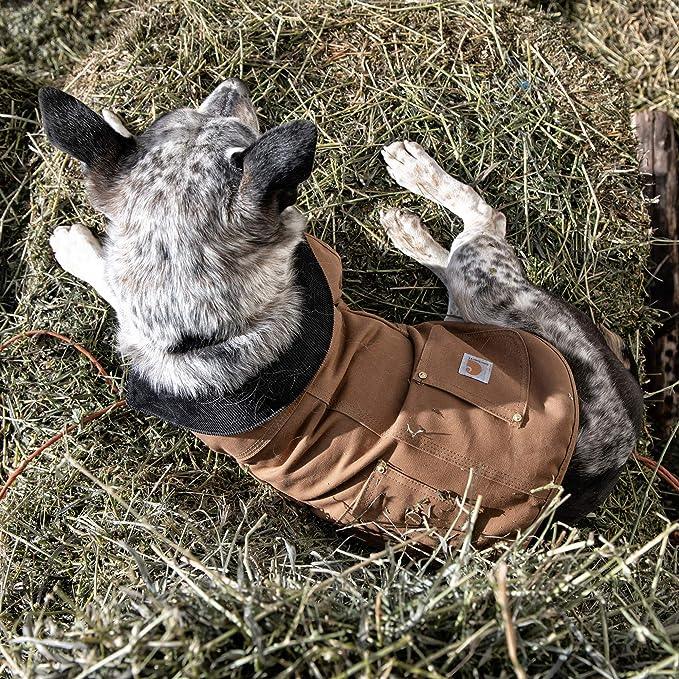 Firm Duck Insulated Dog Chore Coat - Black - Purpose-Built / Home of the Trades