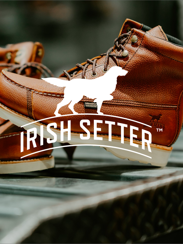 Irish Setter
