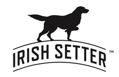 Irish Setter